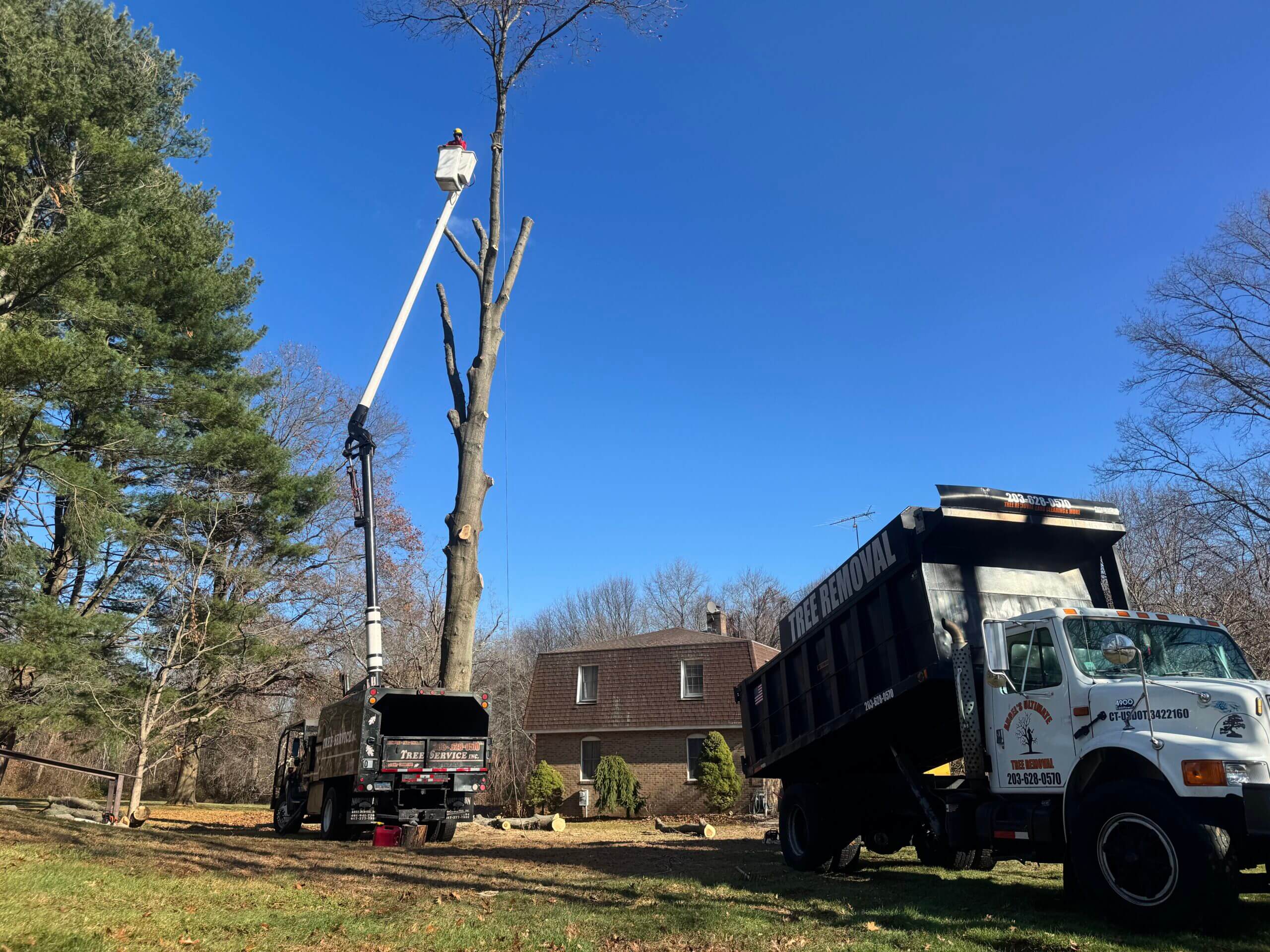 Areas We Serve | Tree Removal Services